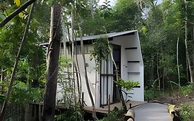 Itacaré Ecolodge - Experiencia de Imersão na Mata Atlântica